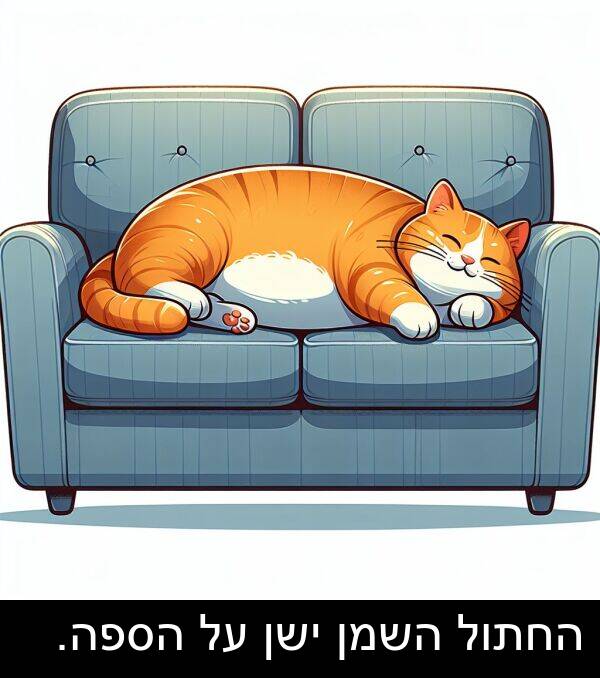 ישן: החתול השמן ישן על הספה.