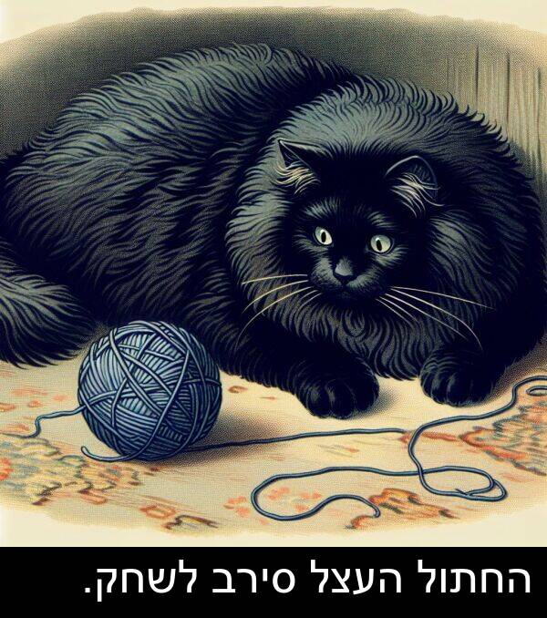 סירב: החתול העצל סירב לשחק.