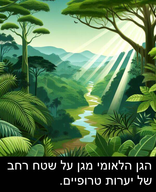 טרופיים: הגן הלאומי מגן על שטח רחב של יערות טרופיים.