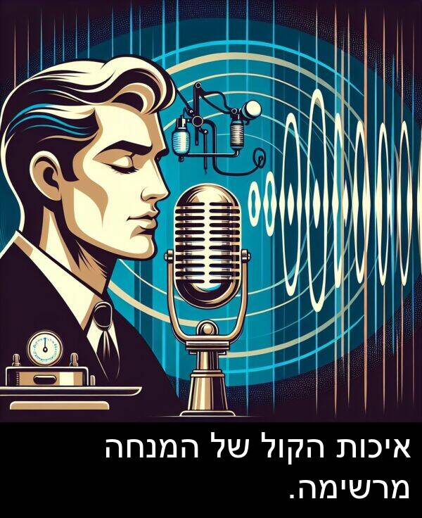 איכות: איכות הקול של המנחה מרשימה.