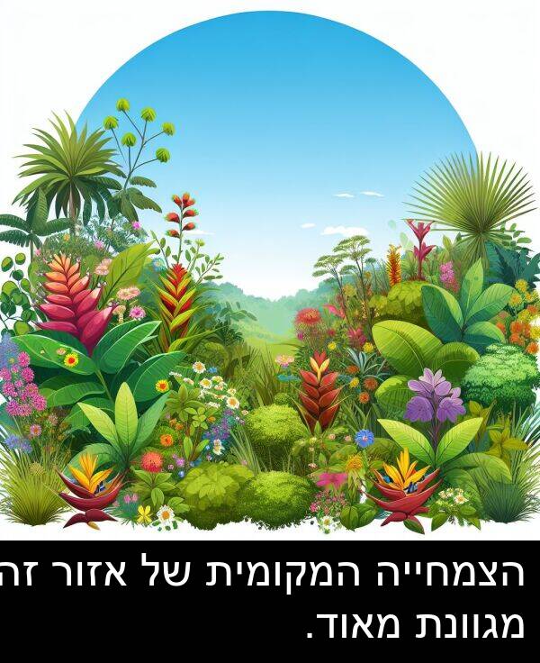 מגוונת: הצמחייה המקומית של אזור זה מגוונת מאוד.