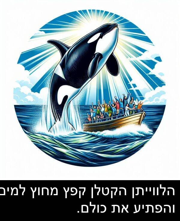 קפץ: הלווייתן הקטלן קפץ מחוץ למים והפתיע את כולם.