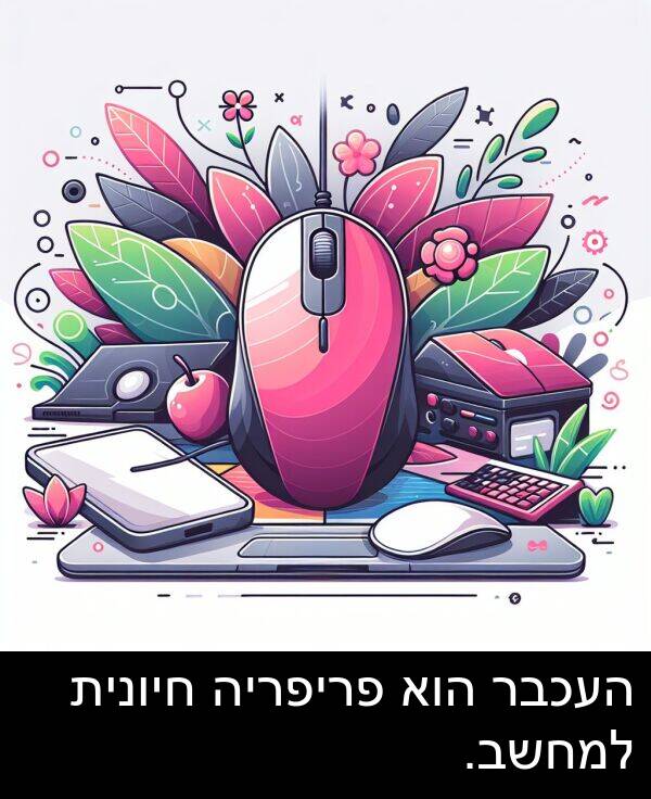 פריפריה: העכבר הוא פריפריה חיונית למחשב.