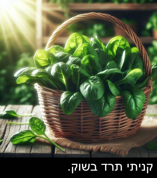 קניתי: קניתי תרד בשוק.