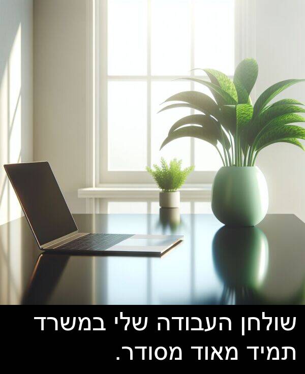 העבודה: שולחן העבודה שלי במשרד תמיד מאוד מסודר.