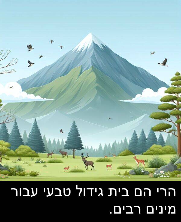 טבעי: הרי הם בית גידול טבעי עבור מינים רבים.