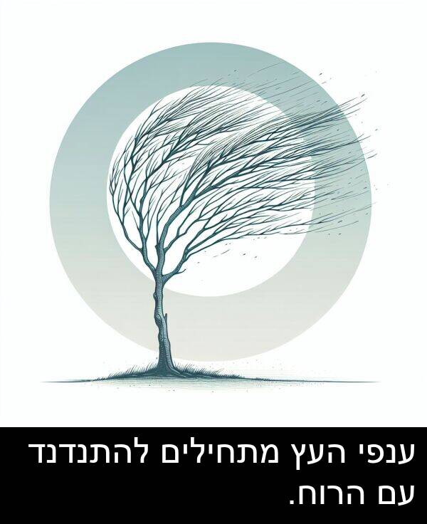 ענפי: ענפי העץ מתחילים להתנדנד עם הרוח.