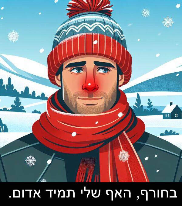 אדום: בחורף, האף שלי תמיד אדום.