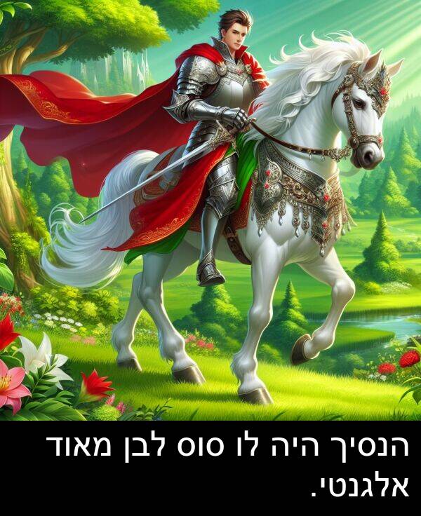 אלגנטי: הנסיך היה לו סוס לבן מאוד אלגנטי.