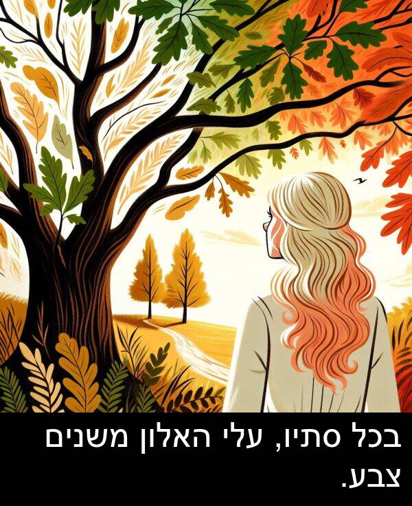 צבע: בכל סתיו, עלי האלון משנים צבע.