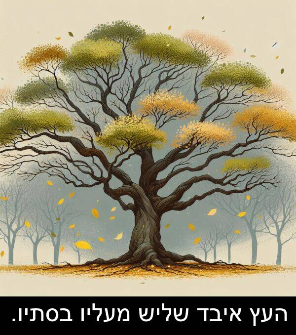 מעליו: העץ איבד שליש מעליו בסתיו.