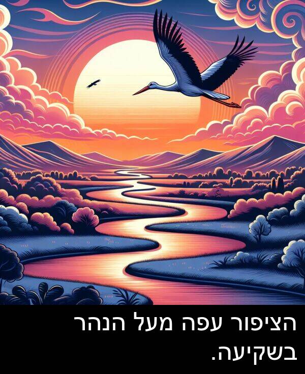 עפה: הציפור עפה מעל הנהר בשקיעה.