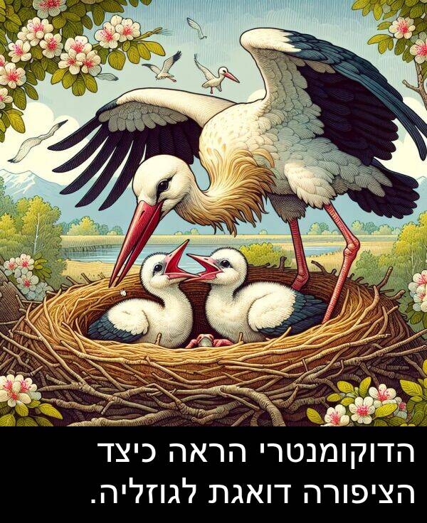 דואגת: הדוקומנטרי הראה כיצד הציפורה דואגת לגוזליה.