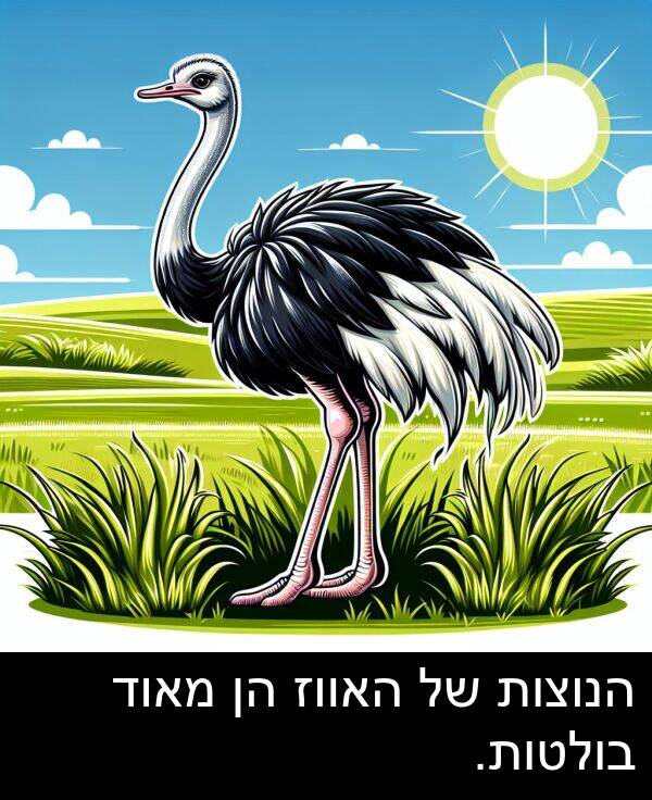 בולטות: הנוצות של האווז הן מאוד בולטות.