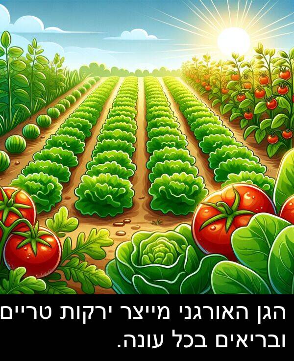 טריים: הגן האורגני מייצר ירקות טריים ובריאים בכל עונה.