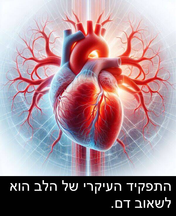 דם: התפקיד העיקרי של הלב הוא לשאוב דם.
