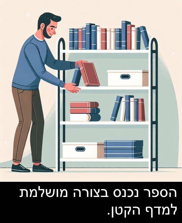 נכנס: הספר נכנס בצורה מושלמת למדף הקטן.