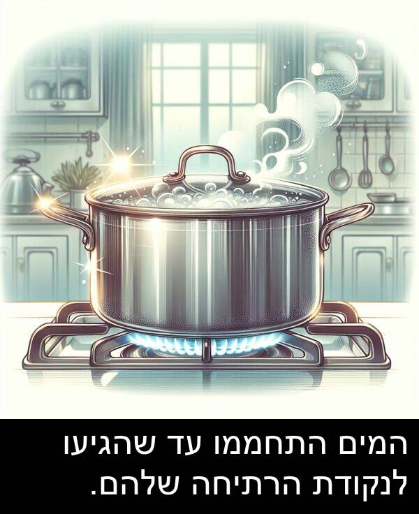 שהגיעו: המים התחממו עד שהגיעו לנקודת הרתיחה שלהם.