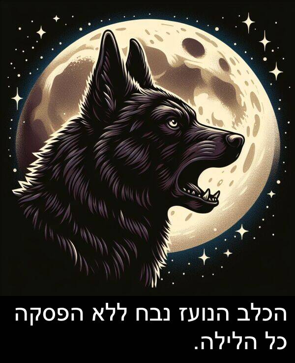 נבח: הכלב הנועז נבח ללא הפסקה כל הלילה.