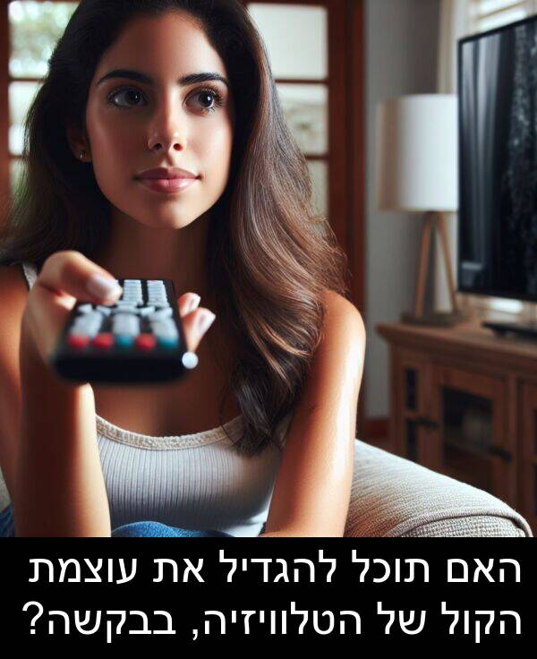 בבקשה: האם תוכל להגדיל את עוצמת הקול של הטלוויזיה, בבקשה?