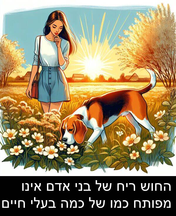 אדם: החוש ריח של בני אדם אינו מפותח כמו של כמה בעלי חיים.
