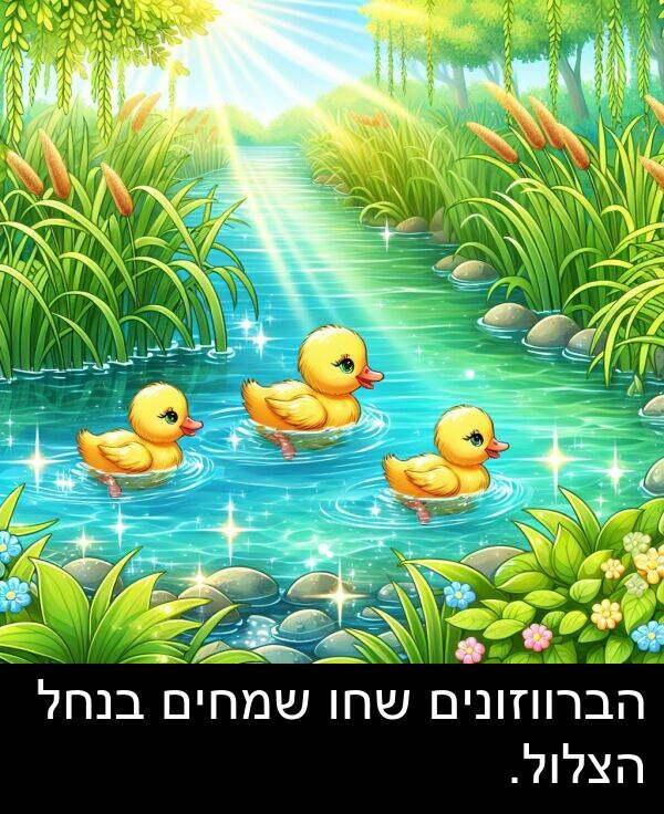 בנחל: הברווזונים שחו שמחים בנחל הצלול.