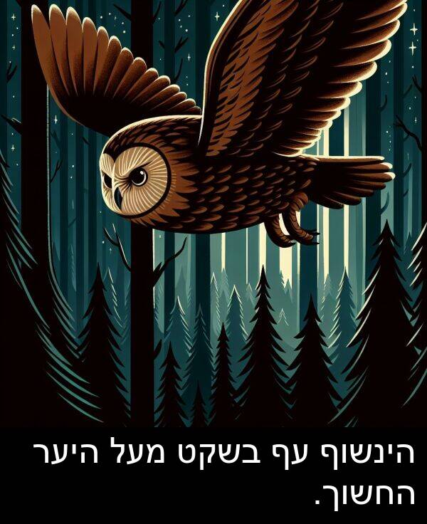 מעל: הינשוף עף בשקט מעל היער החשוך.
