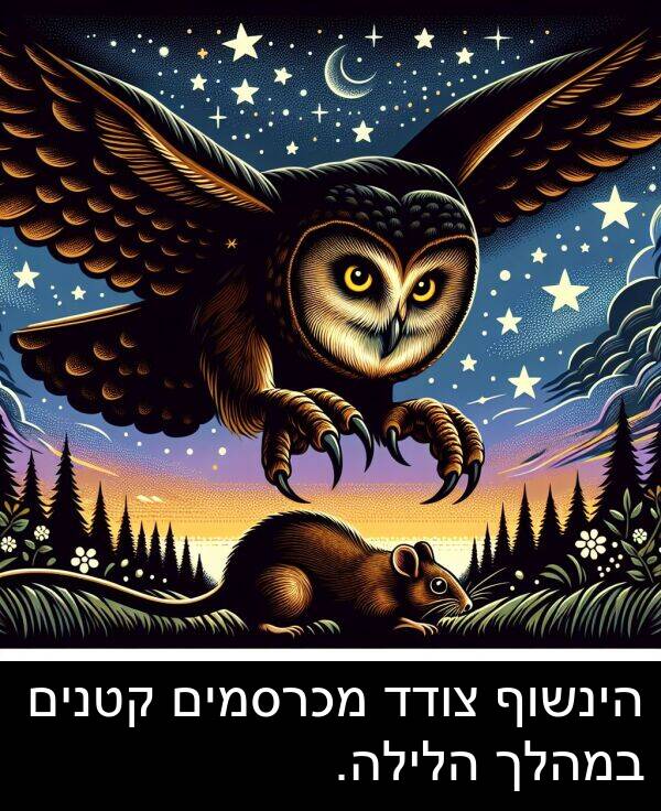 צודד: הינשוף צודד מכרסמים קטנים במהלך הלילה.