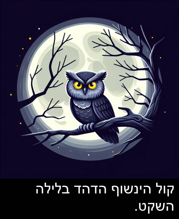 קול: קול הינשוף הדהד בלילה השקט.