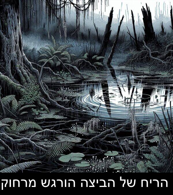מרחוק: הריח של הביצה הורגש מרחוק.