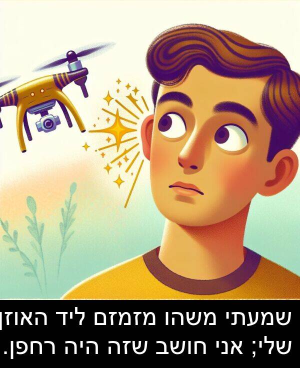 משהו: שמעתי משהו מזמזם ליד האוזן שלי; אני חושב שזה היה רחפן.