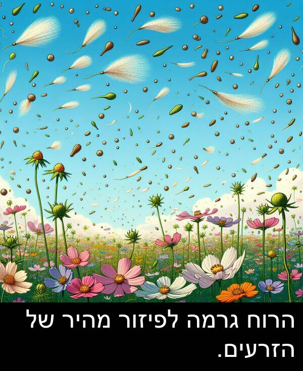 גרמה: הרוח גרמה לפיזור מהיר של הזרעים.