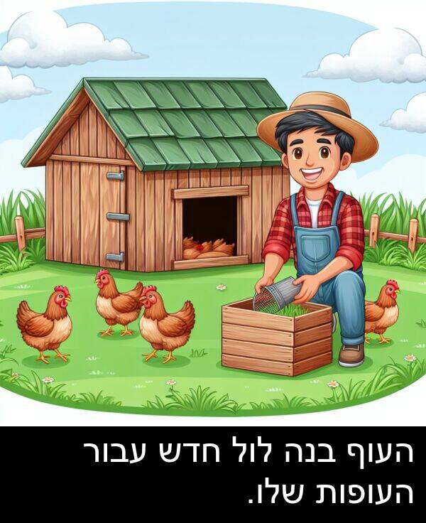 עבור: העוף בנה לול חדש עבור העופות שלו.