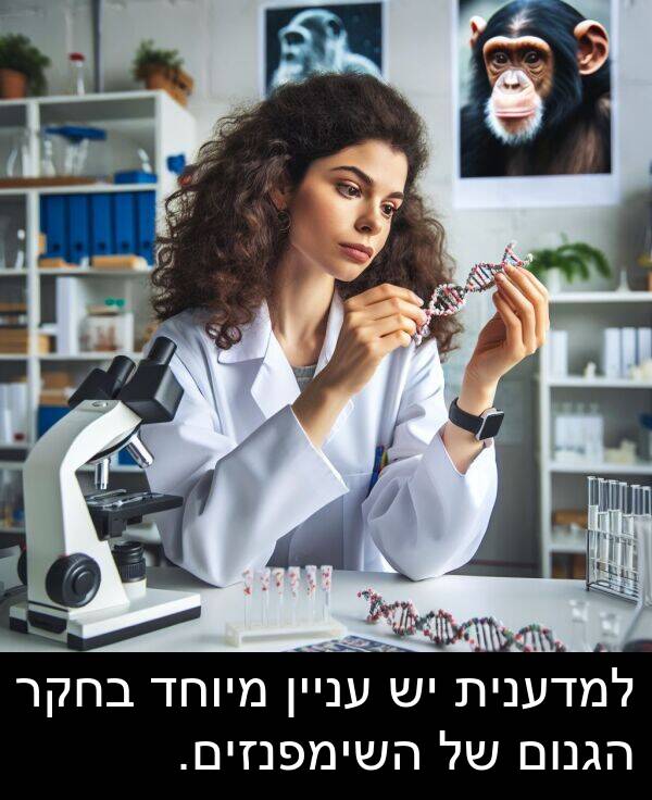 עניין: למדענית יש עניין מיוחד בחקר הגנום של השימפנזים.