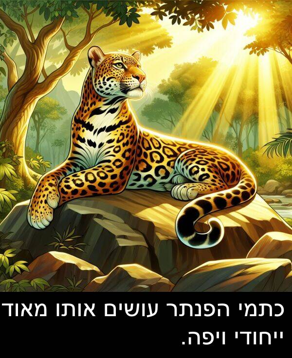 אותו: כתמי הפנתר עושים אותו מאוד ייחודי ויפה.