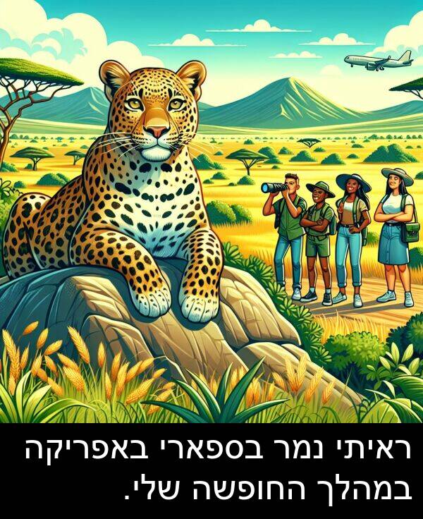 באפריקה: ראיתי נמר בספארי באפריקה במהלך החופשה שלי.