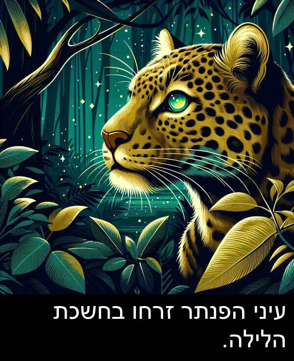 זרחו: עיני הפנתר זרחו בחשכת הלילה.