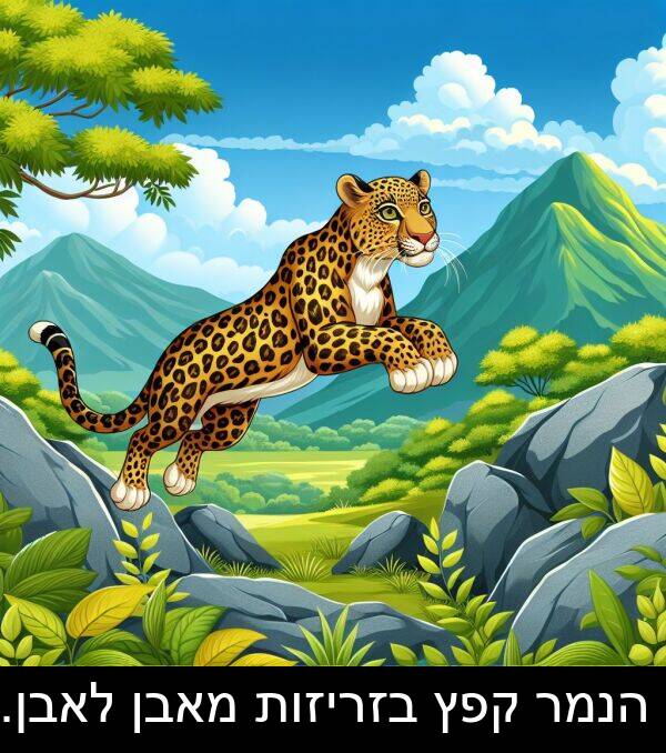 מאבן: הנמר קפץ בזריזות מאבן לאבן.