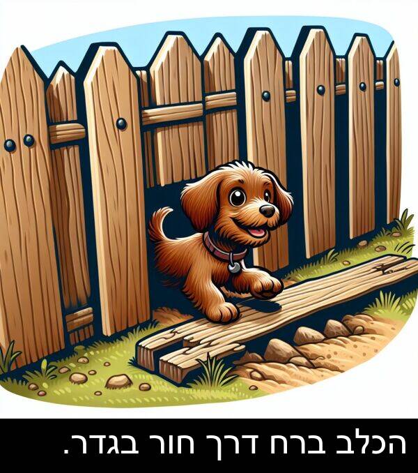 דרך: הכלב ברח דרך חור בגדר.