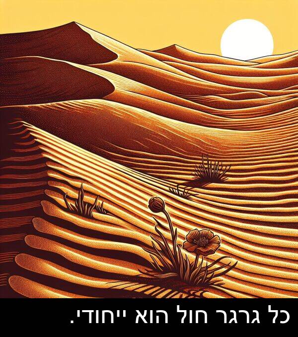 גרגר: כל גרגר חול הוא ייחודי.