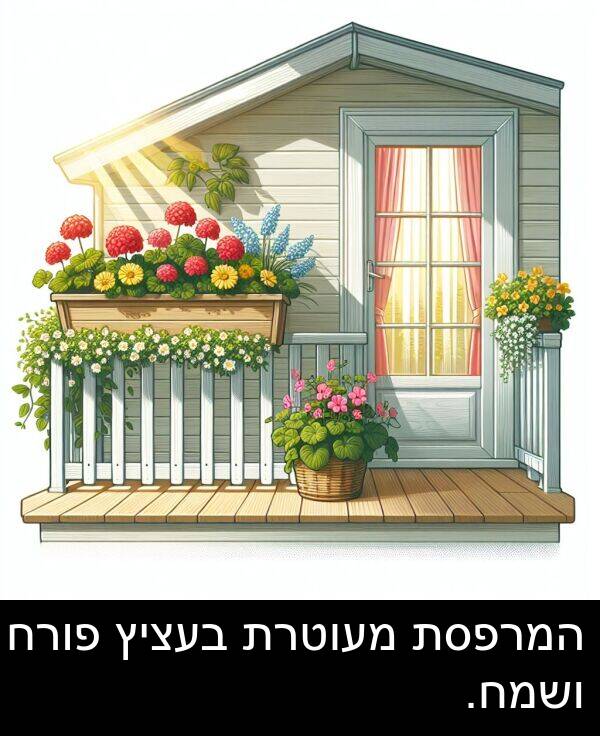 פורח: המרפסת מעוטרת בעציץ פורח ושמח.