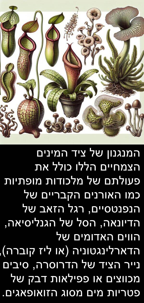 הסל: המנגנון של ציד המינים הצמחיים הללו כולל את פעולתם של מלכודות מופתיות כמו האורנים הקבריים של הנפנטסיים, רגל הזאב של הדיונאה, הסל של הגנליסיאה, הווים האדומים של הדארלינגטוניה (או ליז קוברה), נייר הציד של הדרוסרה, סיבים מכווצים או פפילאות דבק של פטריות מים מסוג הזואופאגים.