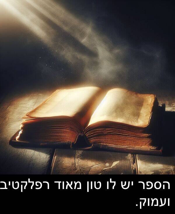 טון: הספר יש לו טון מאוד רפלקטיבי ועמוק.