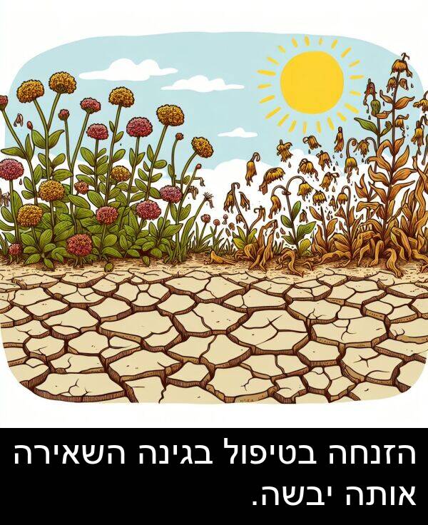 בגינה: הזנחה בטיפול בגינה השאירה אותה יבשה.