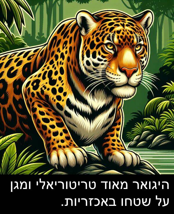 באכזריות: היגואר מאוד טריטוריאלי ומגן על שטחו באכזריות.