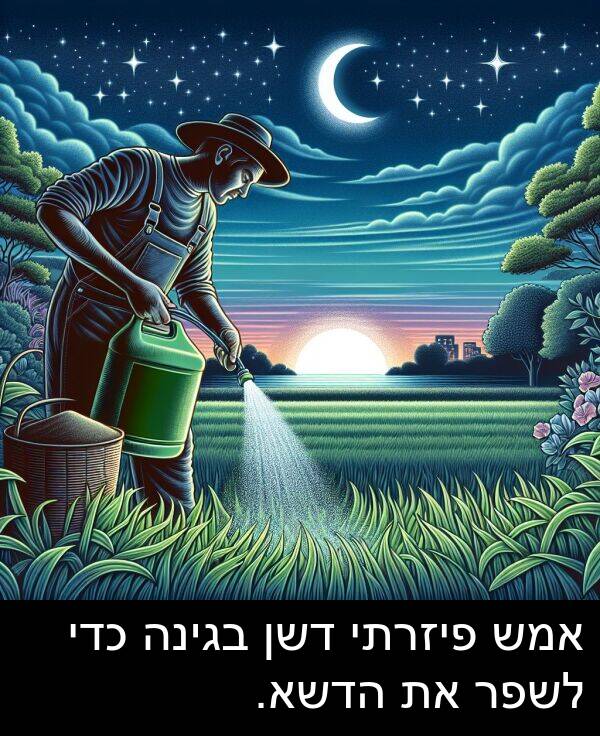 בגינה: אמש פיזרתי דשן בגינה כדי לשפר את הדשא.