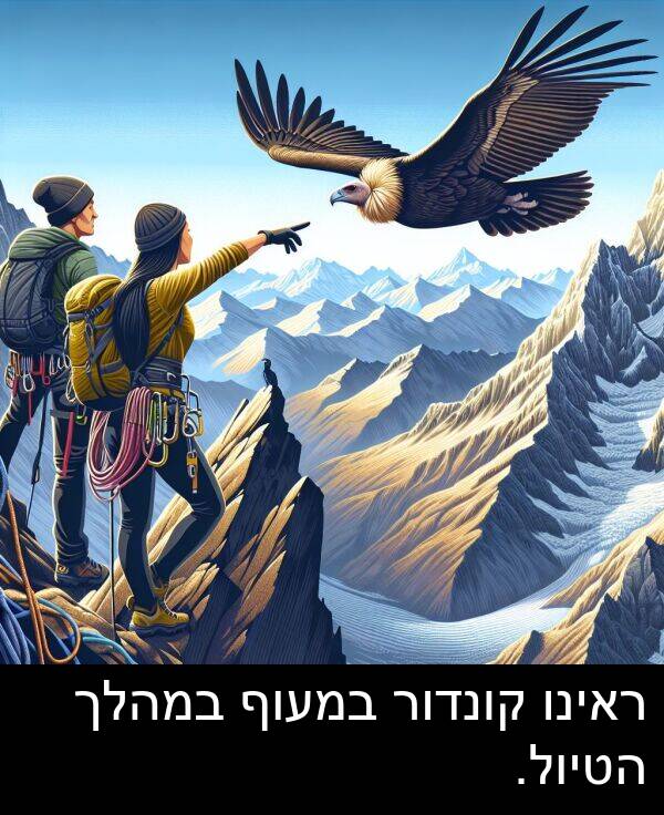 קונדור: ראינו קונדור במעוף במהלך הטיול.