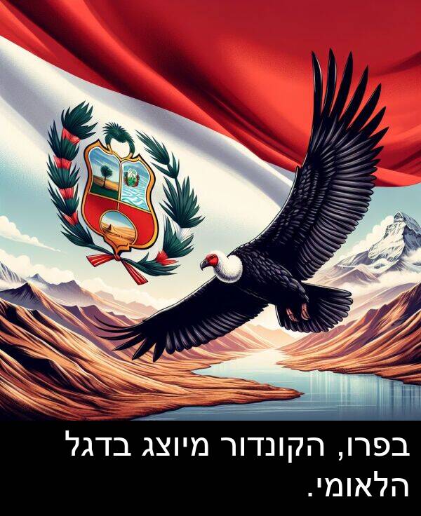 בדגל: בפרו, הקונדור מיוצג בדגל הלאומי.
