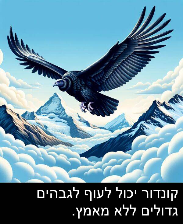 קונדור: קונדור יכול לעוף לגבהים גדולים ללא מאמץ.