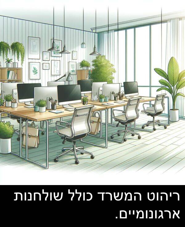 ריהוט: ריהוט המשרד כולל שולחנות ארגונומיים.